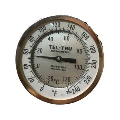 THERMOMETER-DIAL 5IN X 1/2IN MNPT, 9IN STEM, REAR MNT, 0-250 F